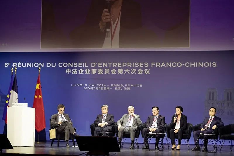 France-China renewable energy Entrepreneurs Committee 2024 Paris